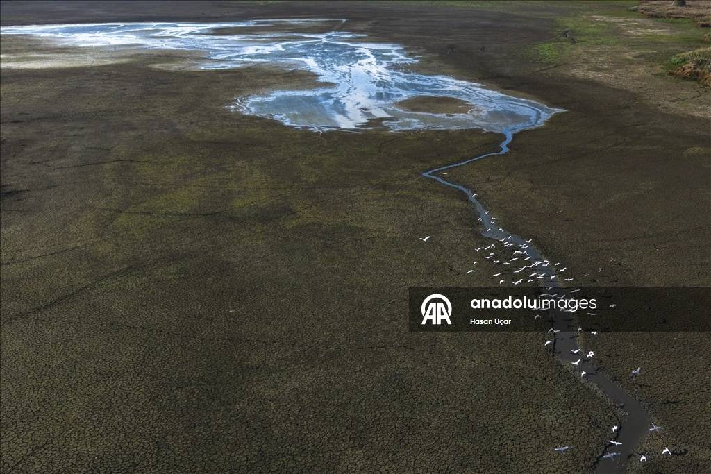 Kuraklığın etkisi artıyor! En büyük tatlı su gölü için alarm verildi: Su seviyesi düştü, balıklar telef oldu 4